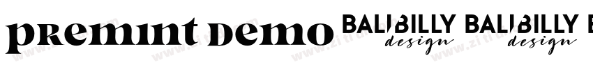 premint Demo字体转换